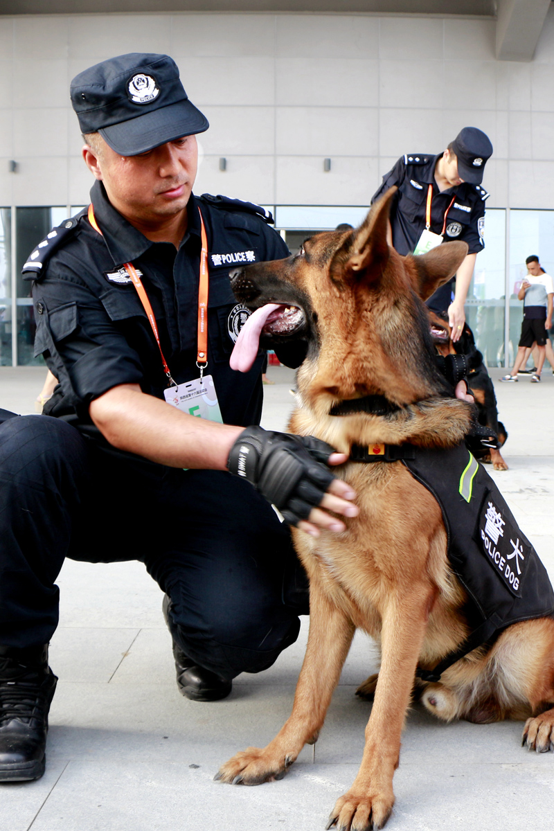 警色 (1)张雅喆.JPG