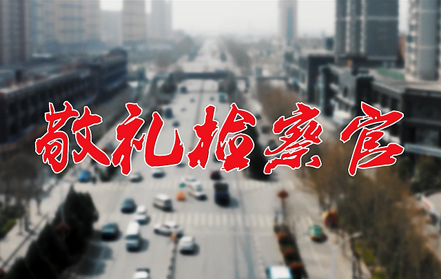 《敬礼，检察官》