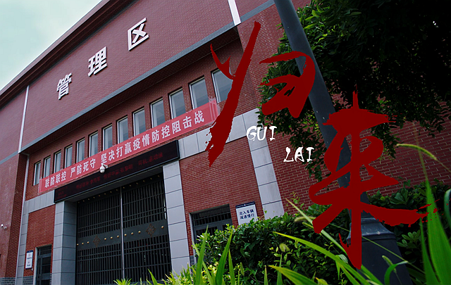 《归来》